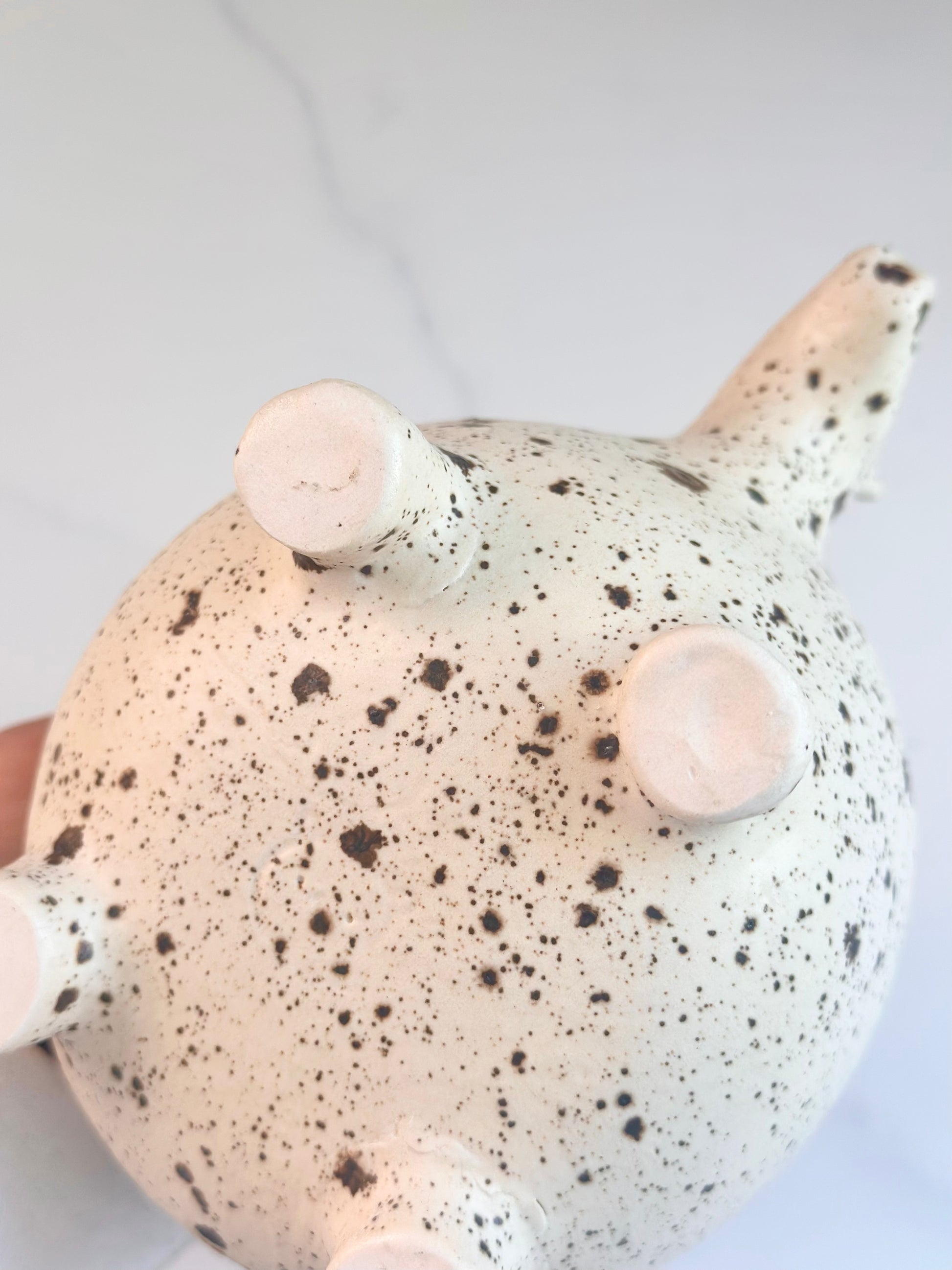 Matcha Bowl - Speckled Horse