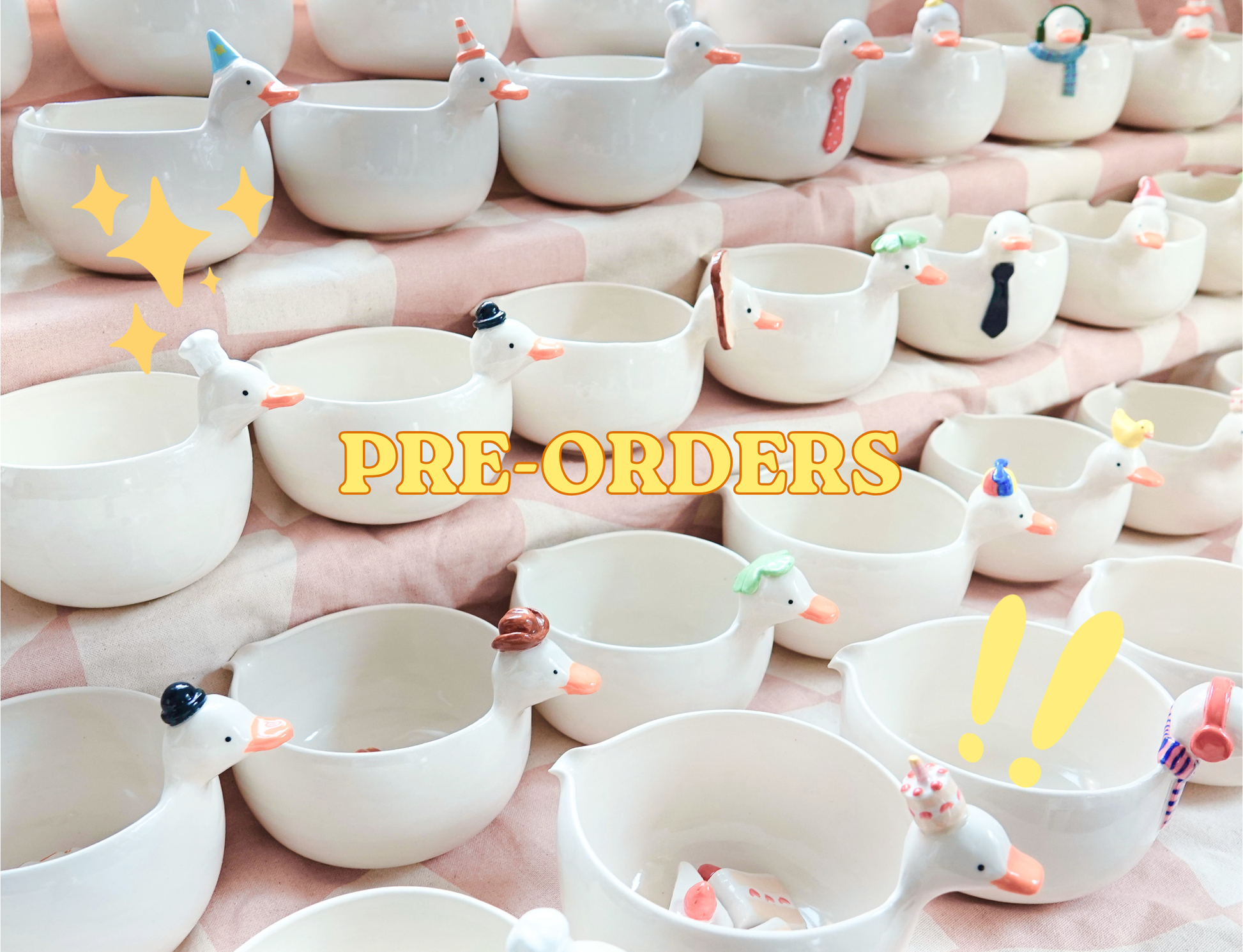 PRE-ORDER! Silly Goose Matcha Bowl